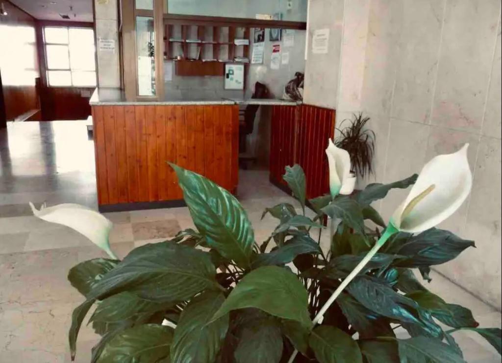 La Posada Del Viajero Apartment ตอร์เรโมลิโนส ภายนอก รูปภาพ